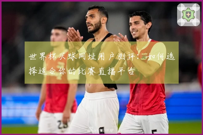 世界杯买球网址用户测评：如何选择适合你的比赛直播平台