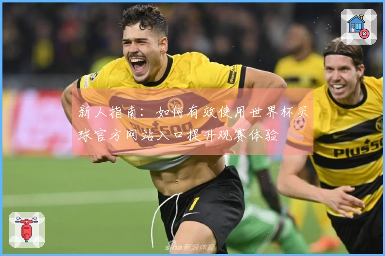 新人指南：如何有效使用世界杯买球官方网站入口提升观赛体验