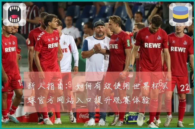新人指南：如何有效使用世界杯买球官方网站入口提升观赛体验